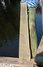 Rickenbacker 100/6 LapSteel, Blonde: Full Instrument - Rear