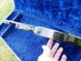 Rickenbacker 420/6 , Jetglo: Free image