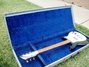 Rickenbacker 420/6 , Jetglo: Full Instrument - Front