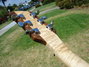 Rickenbacker 650/6 Dakota, Natural: Headstock - Rear