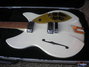 Rickenbacker 1997/6 f hole, Pearl White: Free image