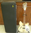 Rickenbacker 360/12 , Mapleglo: Full Instrument - Front