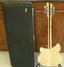Rickenbacker 360/12 , Mapleglo: Full Instrument - Rear