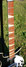 Rickenbacker 625/6 Mod, Jetglo: Neck - Front