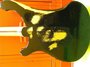 Jul 1976 Rickenbacker 4001/4 , Jetglo: Body - Rear