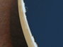 Rickenbacker 4003/4 , Jetglo: Neck - Rear