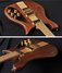 Rickenbacker 650/6 Sierra, Natural: Close up - Free2
