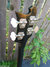 Rickenbacker 4005/4 Mod, Jetglo: Headstock - Rear