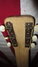 Rickenbacker 59/6 LapSteel, Cream: Headstock - Rear