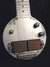 Rickenbacker A22/6 LapSteel, Silver: Free image
