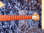 Rickenbacker 330/6 , Desert Gold: Neck - Front