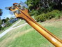 Rickenbacker 4001/4 , Autumnglo: Neck - Rear