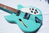 Rickenbacker 360/12 , Sea Green: Free image