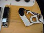 Rickenbacker 481/6 , Mapleglo: Free image