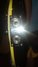 Rickenbacker 4001/4 , Jetglo: Close up - Free