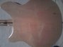 Feb 1979 Rickenbacker 360/12 , Mapleglo: Body - Rear
