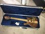 Rickenbacker 650/6 Sierra, Natural: Full Instrument - Front