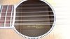 Rickenbacker 700/12 Comstock, Blueburst: Close up - Free2