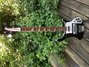 Rickenbacker 4003/4 , Jetglo: Full Instrument - Front
