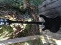 Rickenbacker 4003/4 , Jetglo: Full Instrument - Rear