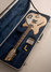 Rickenbacker 360/12 , Mapleglo: Free image