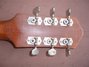 Rickenbacker Ken Roberts/6 , Two tone brown: Headstock - Rear