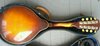 Rickenbacker Mandolin (hollow body)/8 , Two tone brown: Full Instrument - Rear