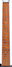 Rickenbacker 325/6 V64, Jetglo: Neck - Front
