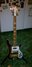 Rickenbacker 4003/4 , Walnut: Full Instrument - Front