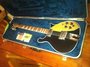 Rickenbacker 660/12 , Jetglo: Full Instrument - Front