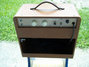 Rickenbacker M-10/amp , Brown: Full Instrument - Rear