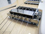 Rickenbacker 360/6 , Mapleglo: Free image
