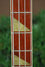 Rickenbacker 4001/4 BT, Walnut: Neck - Front