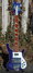 Rickenbacker 4003/4 VP, Blueburst: Full Instrument - Front