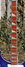 Rickenbacker 4003/4 VP, Blueburst: Neck - Front