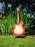 Rickenbacker 360/6 CW, Fireglo: Full Instrument - Rear