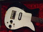 Rickenbacker 1000/6 , Black: Close up - Free