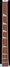Rickenbacker 4003/4 , Blue Boy: Neck - Front