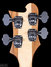 Rickenbacker 4003/4 , Mapleglo: Headstock - Rear