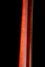 Rickenbacker 1999/4 RoMo, Fireglo: Neck - Rear