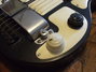 Rickenbacker B/6 LapSteel, Black: Free image