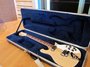 Rickenbacker 620/6 , Mapleglo: Free image