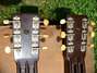 Rickenbacker D12/12 LapSteel, Copper: Headstock - Rear