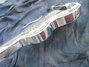 Rickenbacker NS 100/6 LapSteel, Silver: Free image