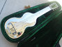 Rickenbacker NS 100/6 LapSteel, Silver: Full Instrument - Rear
