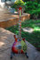 Rickenbacker 660/12 , Fireglo: Full Instrument - Front