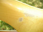 Rickenbacker 4001/4 , Mapleglo: Body - Rear