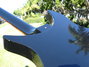 Rickenbacker 350/12 V63, Jetglo: Free image