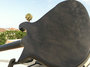 Jun 1966 Rickenbacker 450/12 Setneck, Black: Body - Rear