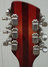 Rickenbacker 360/12 , Fireglo: Headstock - Rear